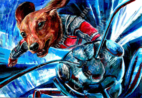 The Ant-Man at 7th-continent-company.com - 7 CONTINENT COMPANY Sp. z o.o.