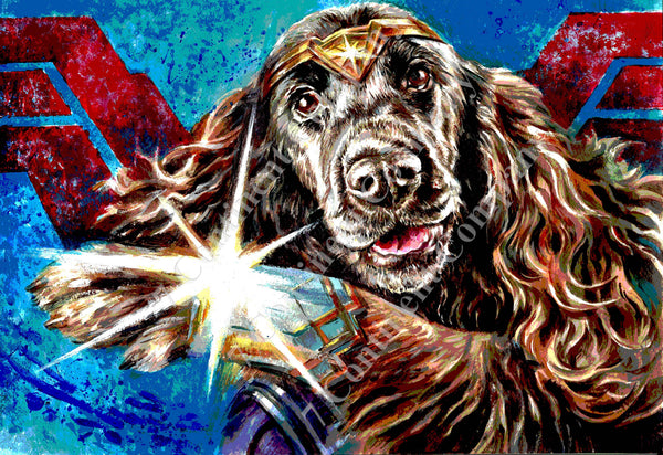 Wonder Woman Dog at 7th-continent-company.com - 7 CONTINENT COMPANY Sp. z o.o.