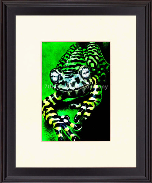 Frog at 7th-continent-company.com - 7 CONTINENT COMPANY Sp. z o.o.