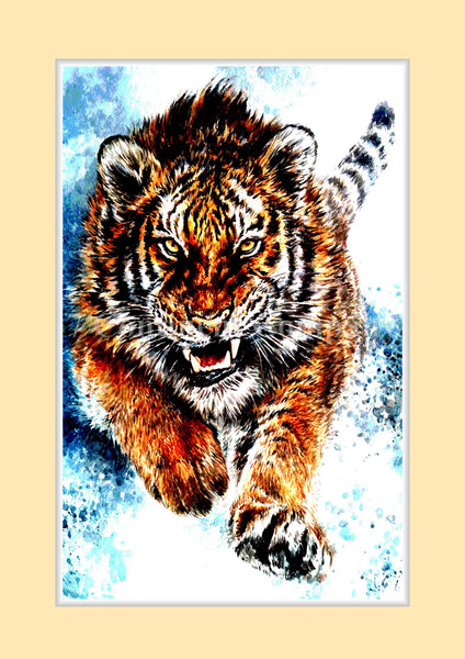 Tiger at 7th-continent-company.com - 7 CONTINENT COMPANY Sp. z o.o.
