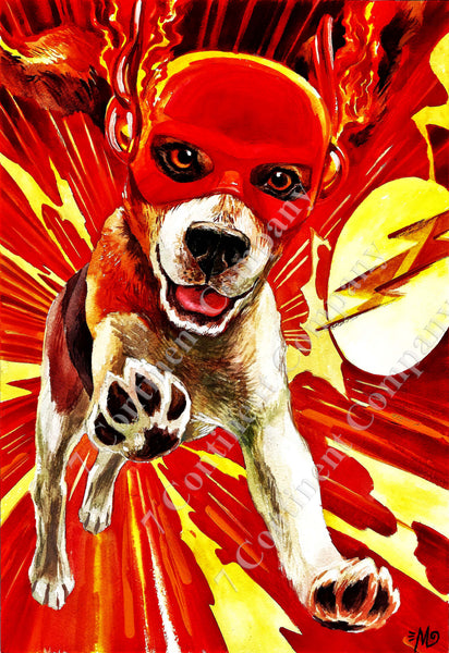 The Flash at 7th-continent-company.com - 7 CONTINENT COMPANY Sp. z o.o.