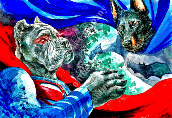 Batman. Superman at 7th-continent-company.com - 7 CONTINENT COMPANY Sp. z o.o.
