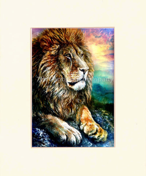Lion at 7th-continent-company.com - 7 CONTINENT COMPANY Sp. z o.o.