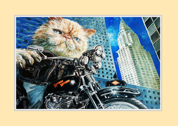 New York. The USA at 7th-continent-company.com - 7 CONTINENT COMPANY Sp. z o.o.