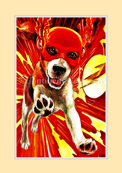 The Flash at 7th-continent-company.com - 7 CONTINENT COMPANY Sp. z o.o.