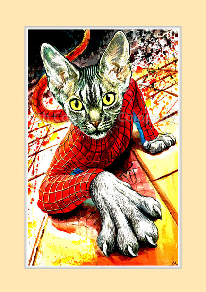 Spiderman Cat at 7th-continent-company.com - 7 CONTINENT COMPANY Sp. z o.o.