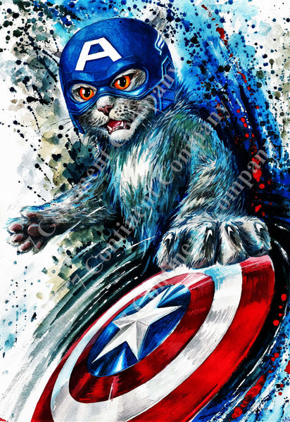 Captain America Cat at 7th-continent-company.com - 7 CONTINENT COMPANY Sp. z o.o.