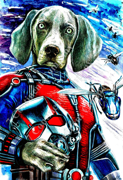 The Ant-Man Dog at 7th-continent-company.com - 7 CONTINENT COMPANY Sp. z o.o.