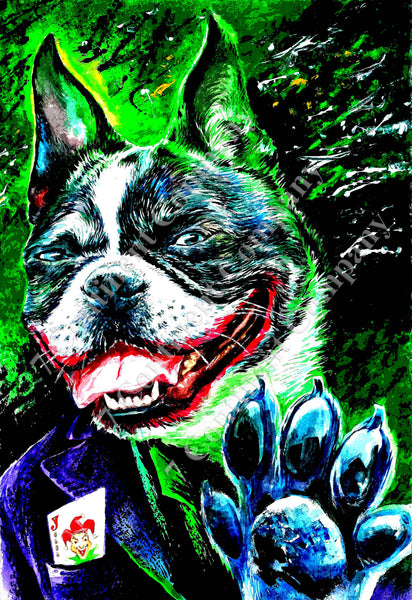 Joker Dog at 7th-continent-company.com - 7 CONTINENT COMPANY Sp. z o.o.