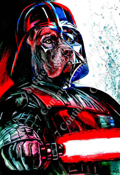 Darth Vader at 7th-continent-company.com - 7 CONTINENT COMPANY Sp. z o.o.