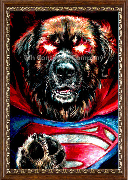 Superman Dog at 7th-continent-company.com - 7 CONTINENT COMPANY Sp. z o.o.