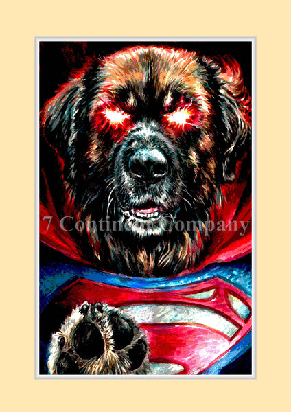 Superman Dog at 7th-continent-company.com - 7 CONTINENT COMPANY Sp. z o.o.
