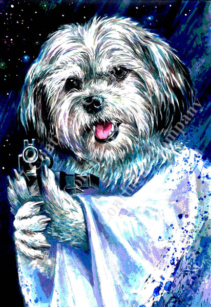 Leia. Star Wars at 7th-continent-company.com - 7 CONTINENT COMPANY Sp. z o.o.