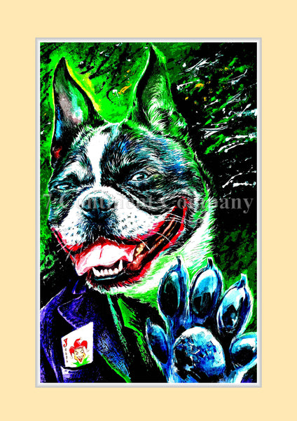 Joker Dog at 7th-continent-company.com - 7 CONTINENT COMPANY Sp. z o.o.