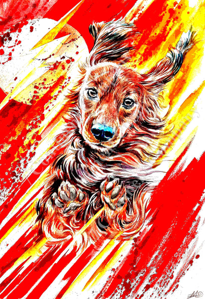 The Flash Dog at 7th-continent-company.com - 7 CONTINENT COMPANY Sp. z o.o.
