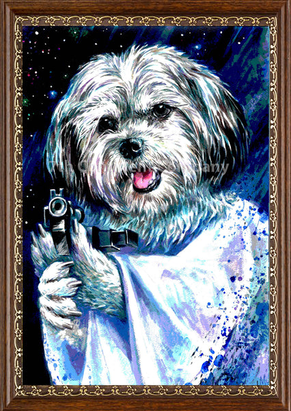 Leia. Star Wars at 7th-continent-company.com - 7 CONTINENT COMPANY Sp. z o.o.