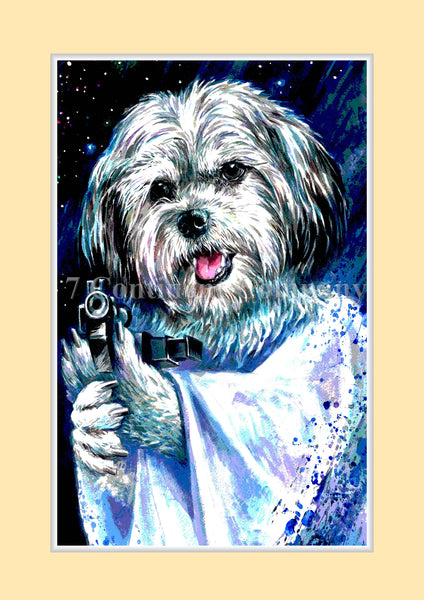 Leia. Star Wars at 7th-continent-company.com - 7 CONTINENT COMPANY Sp. z o.o.