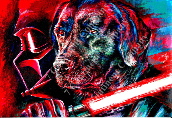 Star Wars. Darth Vader at 7th-continent-company.com - 7 CONTINENT COMPANY Sp. z o.o.