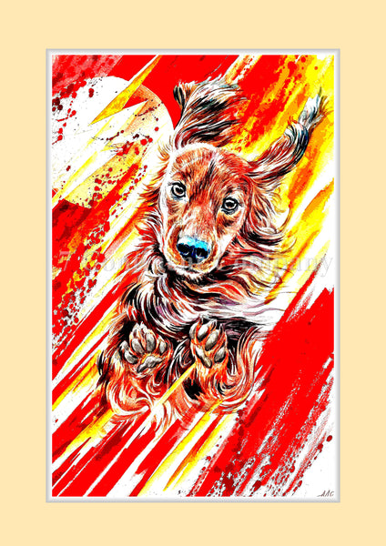 The Flash Dog at 7th-continent-company.com - 7 CONTINENT COMPANY Sp. z o.o.