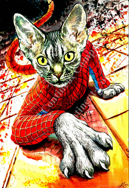 Spiderman Cat at 7th-continent-company.com - 7 CONTINENT COMPANY Sp. z o.o.