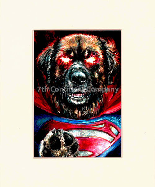 Superman Dog at 7th-continent-company.com - 7 CONTINENT COMPANY Sp. z o.o.