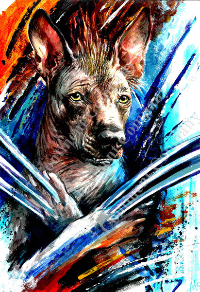 Wolverine Dog at 7th-continent-company.com - 7 CONTINENT COMPANY Sp. z o.o.