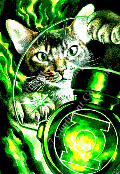 Green Lantern Cat at 7th-continent-company.com - 7 CONTINENT COMPANY Sp. z o.o.