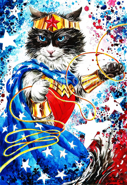 Wonder Woman Cat at 7th-continent-company.com - 7 CONTINENT COMPANY Sp. z o.o.