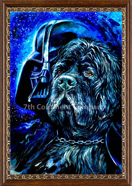 Darth Vader. Star Wars at 7th-continent-company.com - 7 CONTINENT COMPANY Sp. z o.o.