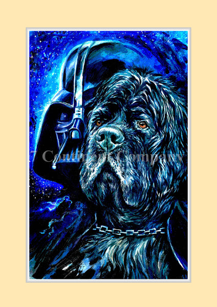 Darth Vader. Star Wars at 7th-continent-company.com - 7 CONTINENT COMPANY Sp. z o.o.