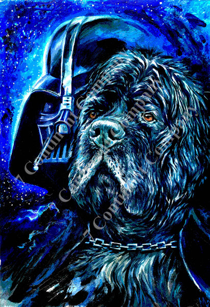 Darth Vader. Star Wars at 7th-continent-company.com - 7 CONTINENT COMPANY Sp. z o.o.