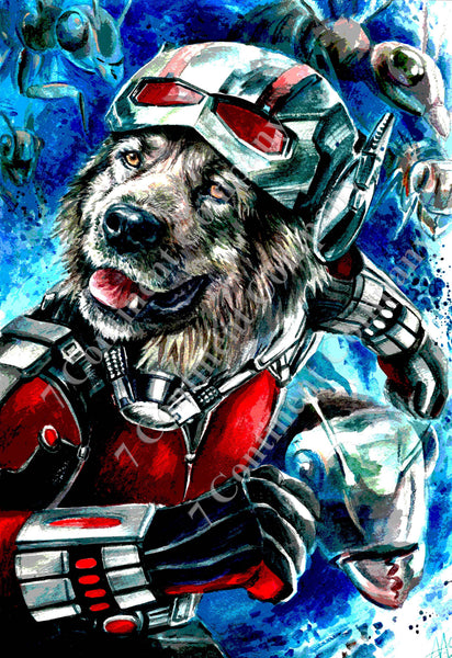 The Ant-Man Art at 7th-continent-company.com - 7 CONTINENT COMPANY Sp. z o.o.