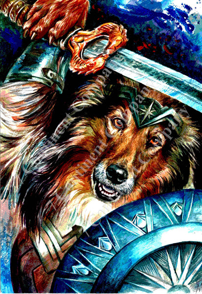 Wonder Woman. Collie at 7th-continent-company.com - 7 CONTINENT COMPANY Sp. z o.o.