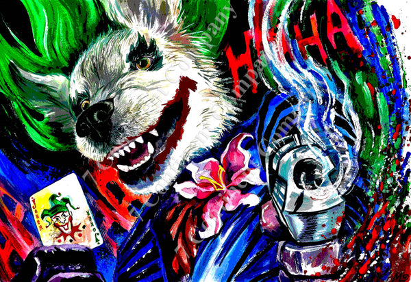 Joker at 7th-continent-company.com - 7 CONTINENT COMPANY Sp. z o.o.