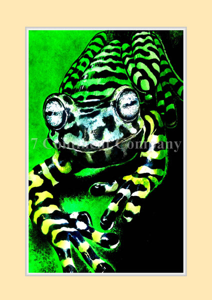 Frog at 7th-continent-company.com - 7 CONTINENT COMPANY Sp. z o.o.