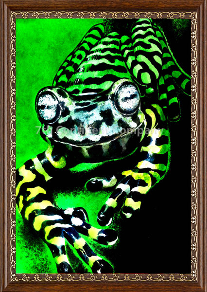 Frog at 7th-continent-company.com - 7 CONTINENT COMPANY Sp. z o.o.