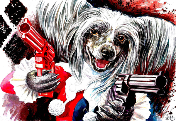 Harley Quinn Dog at 7th-continent-company.com - 7 CONTINENT COMPANY Sp. z o.o.