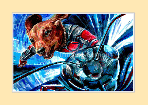 The Ant-Man at 7th-continent-company.com - 7 CONTINENT COMPANY Sp. z o.o.