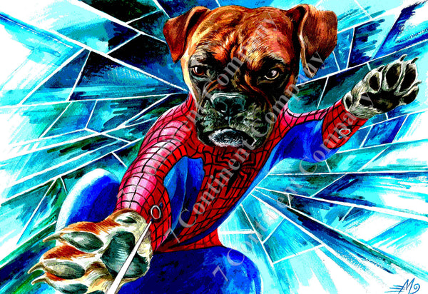 Spiderman Dog at 7th-continent-company.com - 7 CONTINENT COMPANY Sp. z o.o.