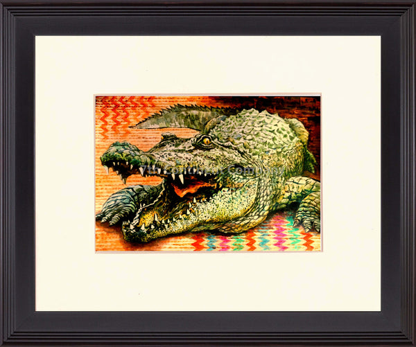 Crocodile at 7th-continent-company.com - 7 CONTINENT COMPANY Sp. z o.o.