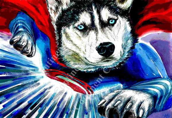 Superman at 7th-continent-company.com - 7 CONTINENT COMPANY Sp. z o.o.