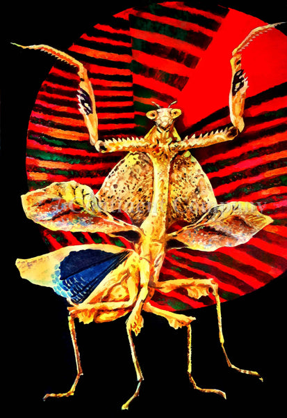 Bogomol at 7th-continent-company.com - 7 CONTINENT COMPANY Sp. z o.o.