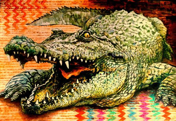 Crocodile at 7th-continent-company.com - 7 CONTINENT COMPANY Sp. z o.o.