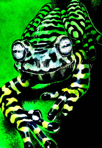 Frog at 7th-continent-company.com - 7 CONTINENT COMPANY Sp. z o.o.