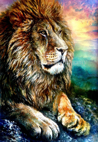 Lion at 7th-continent-company.com - 7 CONTINENT COMPANY Sp. z o.o.