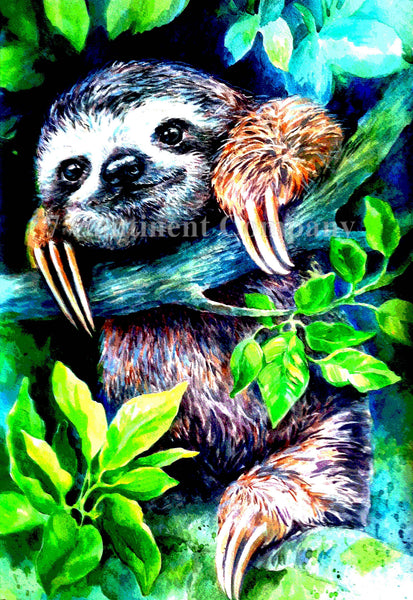 Sloth at 7th-continent-company.com - 7 CONTINENT COMPANY Sp. z o.o.