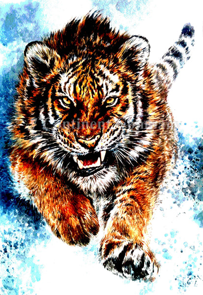 Tiger at 7th-continent-company.com - 7 CONTINENT COMPANY Sp. z o.o.