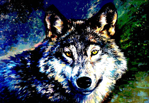 Wolf at 7th-continent-company.com - 7 CONTINENT COMPANY Sp. z o.o.