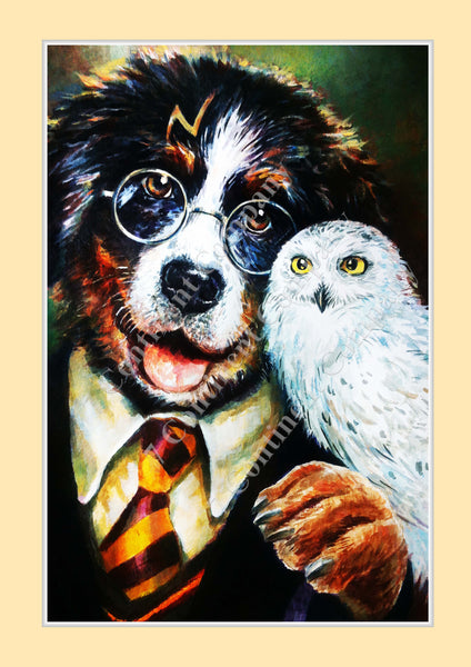 Harry Potter Dog - 7 CONTINENT COMPANY