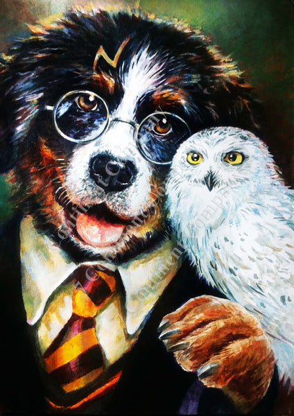 Harry Potter Dog - 7 CONTINENT COMPANY